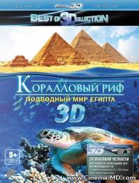 Коралловый риф 3D: Подводный мир Египта / Abenteuer Korallenriff (2012)