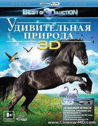 Удивительная природа 3D / Amazing Nature 3D (2012)